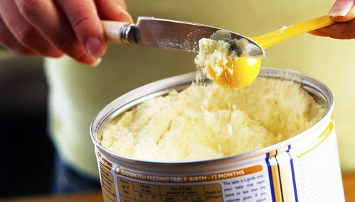 预包装特殊膳食用食品标签管理规范解读 GB 13432-2013要点问答